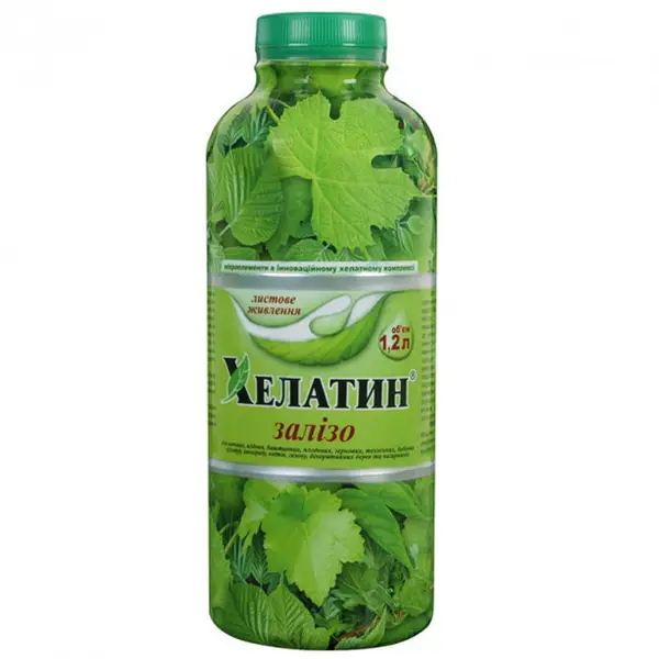 2880202949 W600 H600 2880202949