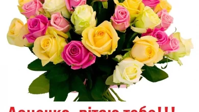 Den Docheri Oktryitka