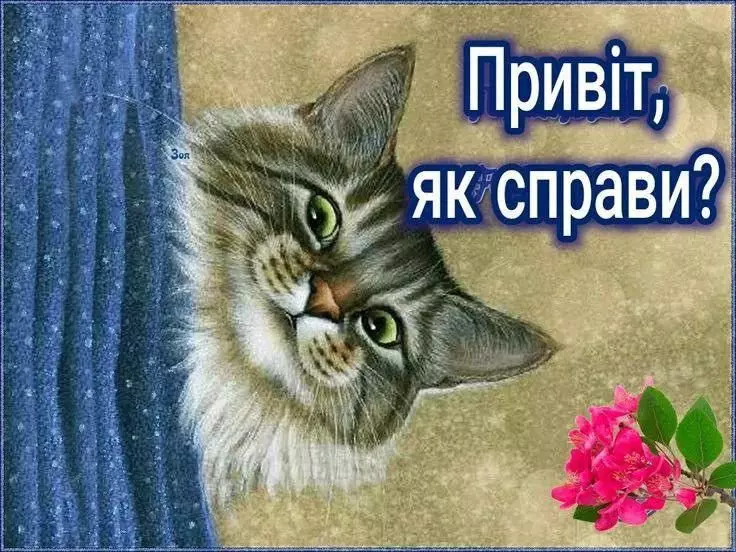 738092f8b17bc993ec61042f58025058 1