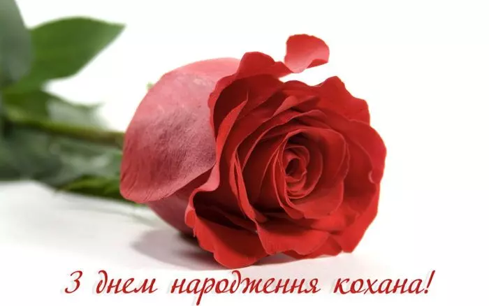 5e45224075a24a2ecdbc50d4f715f191