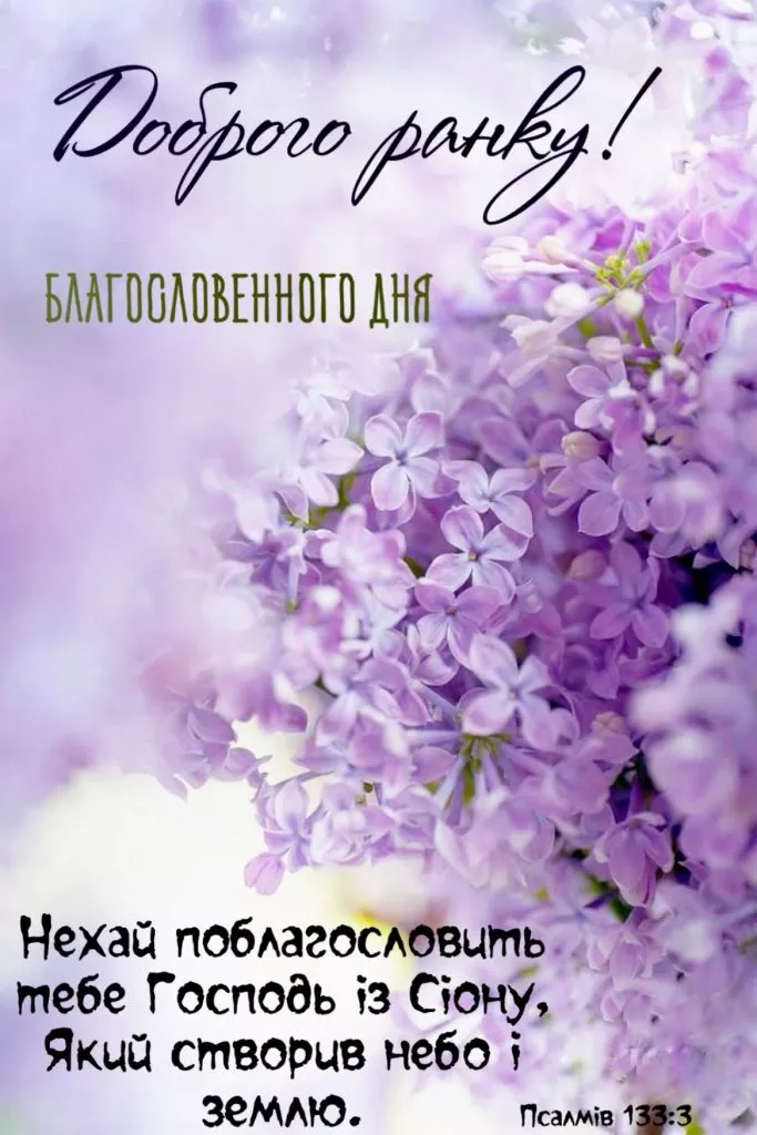 E21437e8b1b33e8e992f26dcad884402