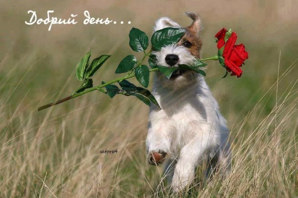 J3npxo Hossiuxziiav3v5jre6nxynarujx6ho7