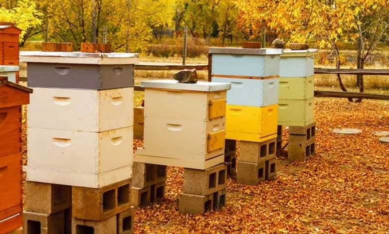 52ec984cc72302fd412e2aa145a6526c Xl