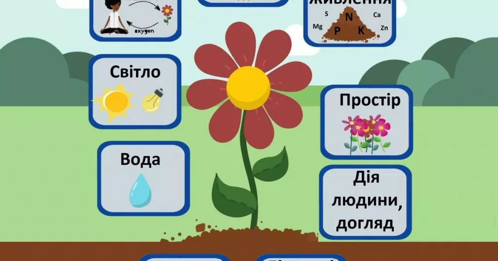 0400takb 5a88 1200x630 1