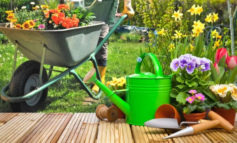 Bcede3cda135031c65ddd5d015114195