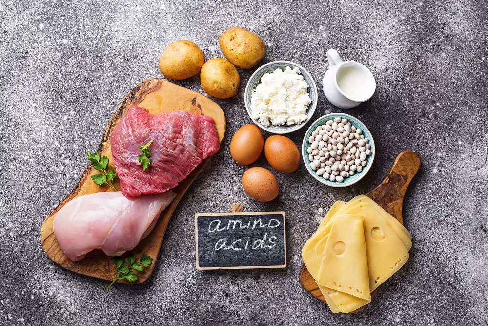 Products Rich In Amino Acids Lg5w4yb