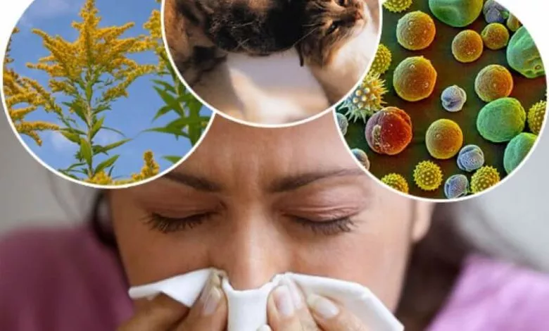 Biofon Allergiya
