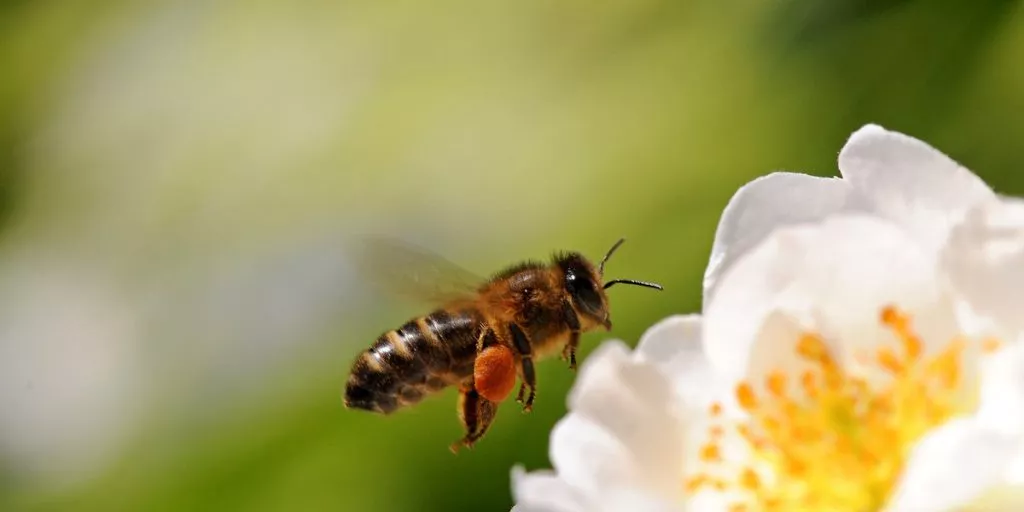 Kieran Murphy Guhwhcdonou Unsplas.2e16d0ba.fill 1200x600 1