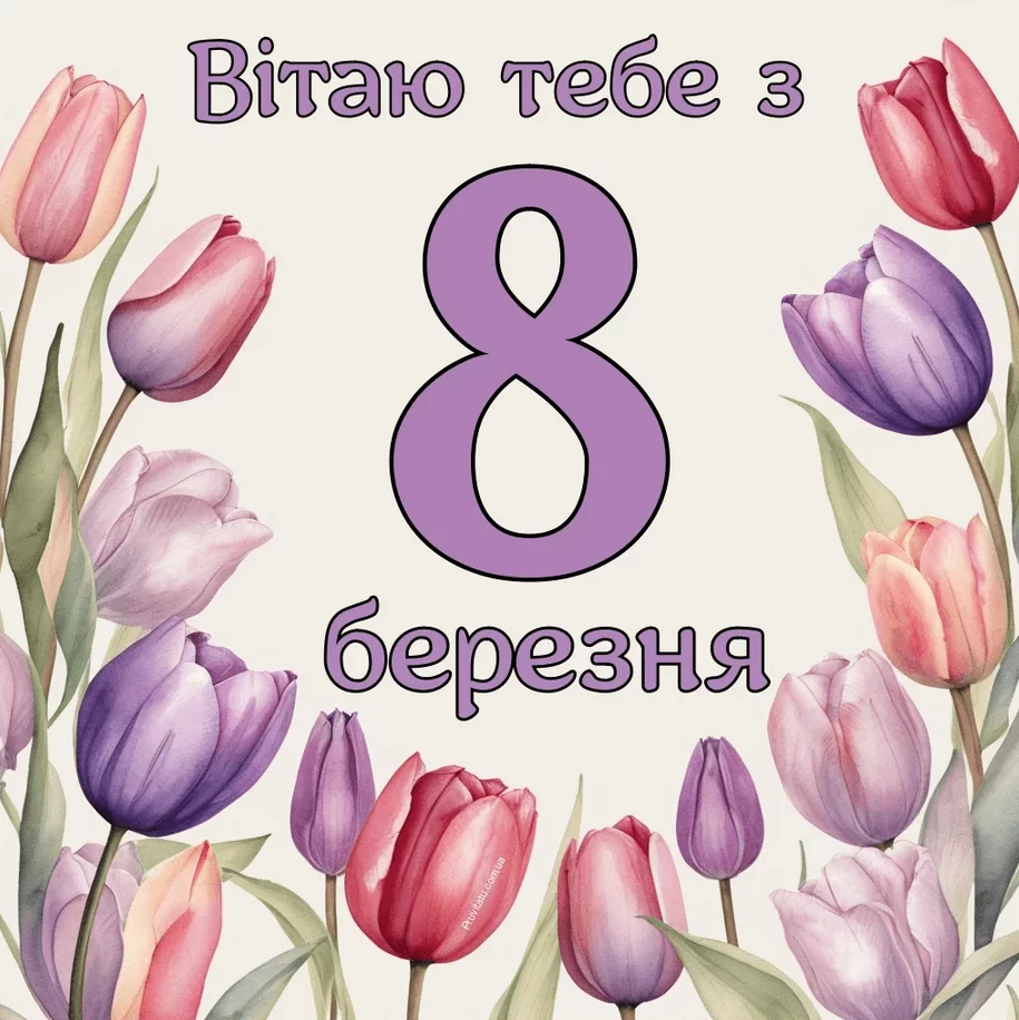 Mtfovt 385a84792845469f6d55d487702b306b