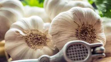 Chy Mozhna Yisty Chasnyk Na Nich