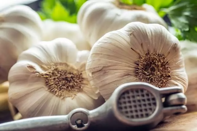 Chy Mozhna Yisty Chasnyk Na Nich