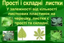 Dfdcb095bb85f95219d229eae3526e39