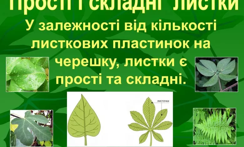 Dfdcb095bb85f95219d229eae3526e39